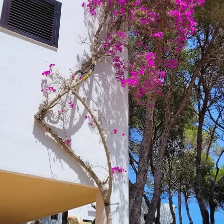 Club Cala Azul